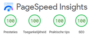 Google Page Speed Insights Score